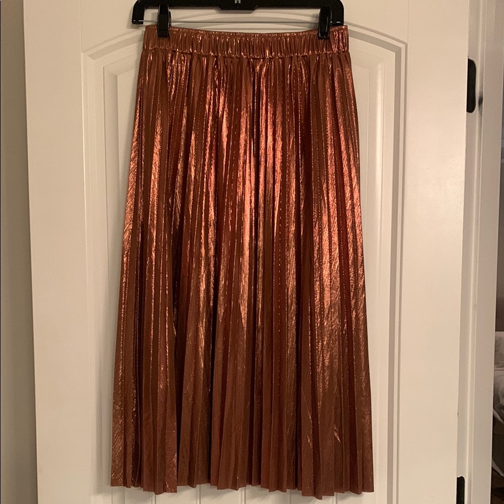 NWT Molly Bracken skirt
